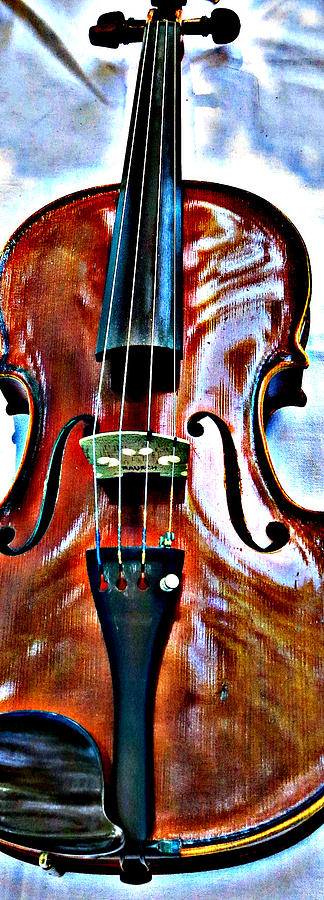 Violin Photograph by Patricia Januszkiewicz