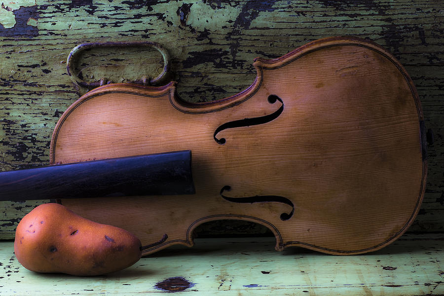 Violin pear study Photograph by Garry Gay