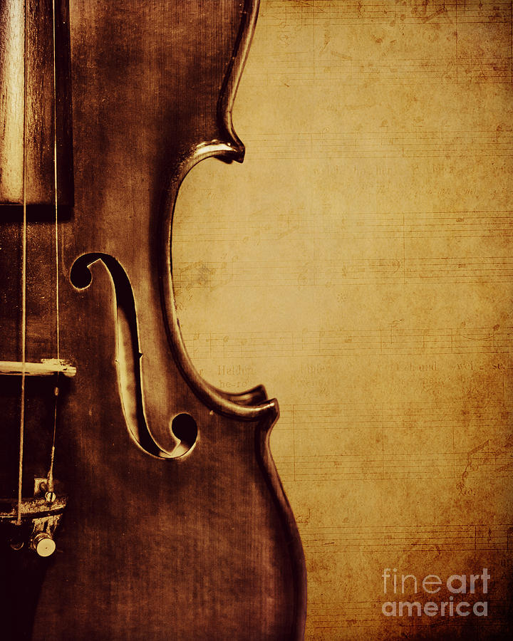 Music Photograph - Violin Portrait  by Kadwell Enz