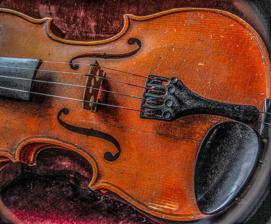 Violin Photograph by Ray Congrove