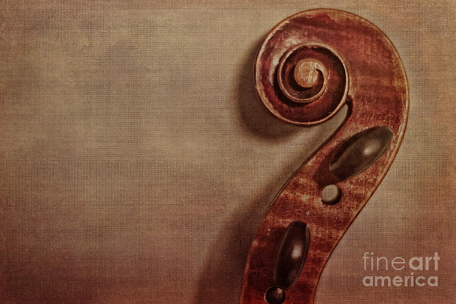 Music Photograph - Violin Scroll by Kadwell Enz