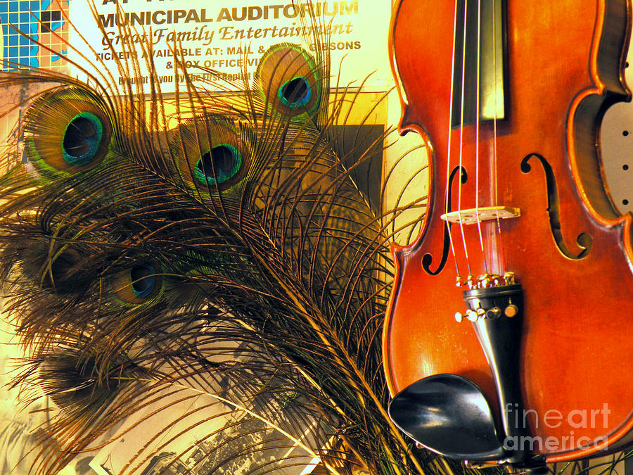 Violin Splendor Photograph by Joe Pratt