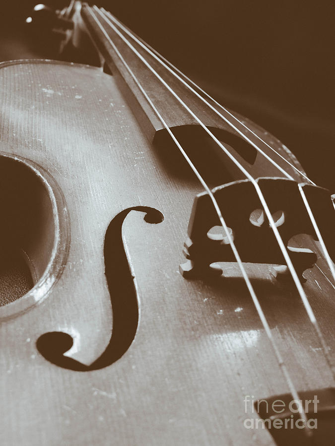 Violin Photograph by Stacy Michelle Smith