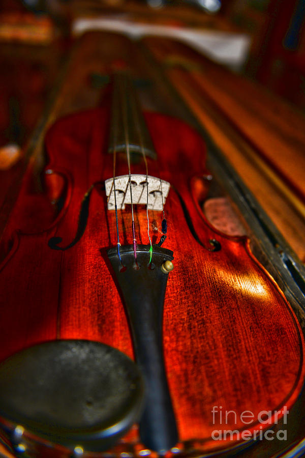 Music Photograph - Violin Study by Paul Ward