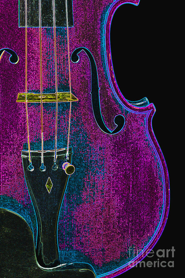 Violin Viola Body Photograph in Digital Color 3265.03 Photograph by M K Miller