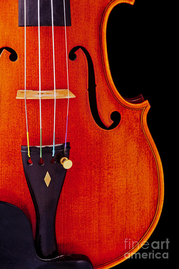 Violin Viola Body Photograph or Picture in Color 3265.02 Photograph by M K Miller