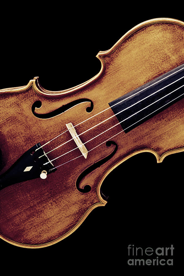 Violin Viola Photograph Strings Bridge in Color 3264.02 Photograph by M K Miller