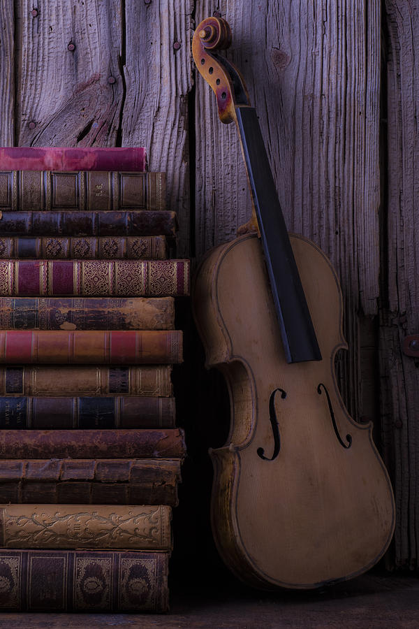 Violin with old books Photograph by Garry Gay
