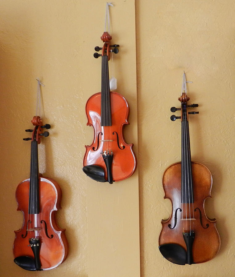 Violins Photograph by Cathy Anderson