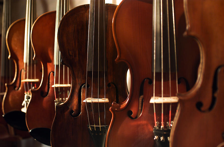 Violins Horizontal Photograph by Jon Neidert