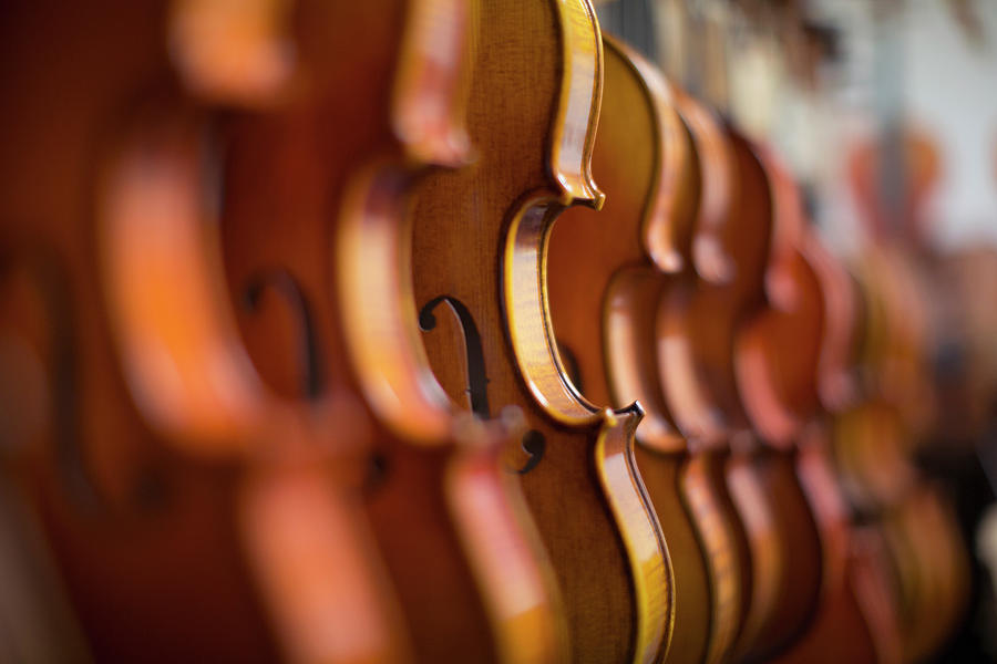 Violins In A Row In A Shop Photograph by Eternity In An Instant