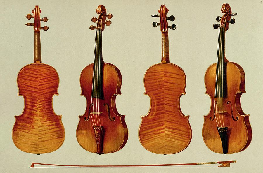 Violins Drawing by Alfred James Hipkins