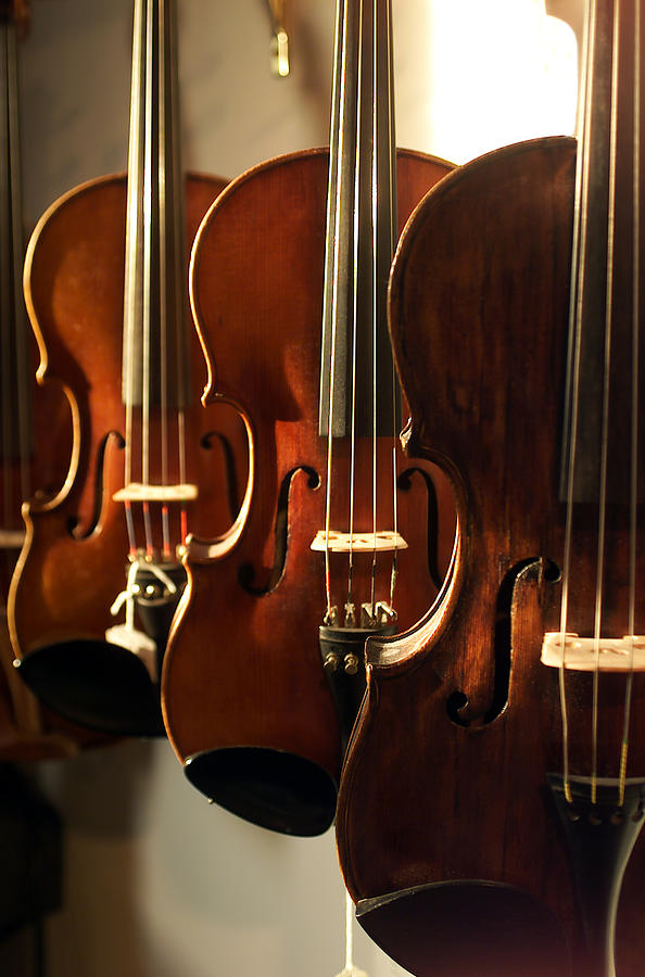 Violins Vertical Photograph by Jon Neidert