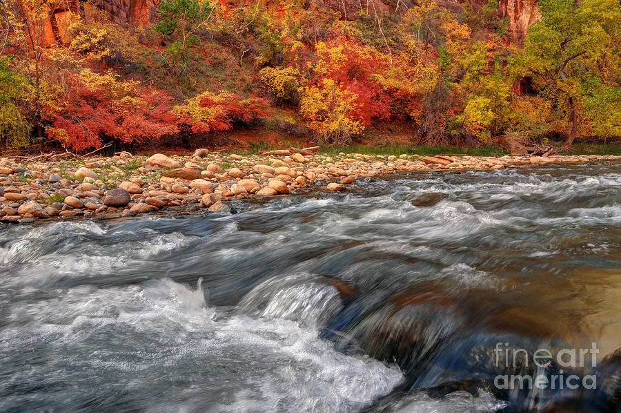 Virgin River at Big Bend in Fall - Zion National Park Photograph by Gary Whitton