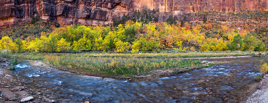 Zion National Park Photograph - Virgin River At Big Bend, Zion National by Panoramic Images