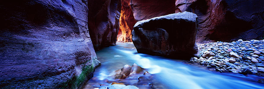 Zion National Park Photograph - Virgin River At Zion National Park by Panoramic Images