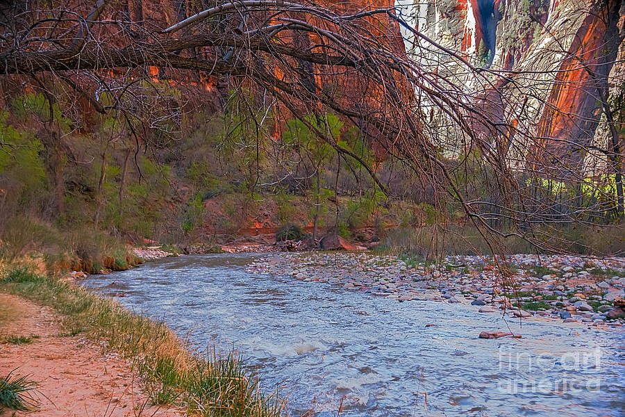 Virgin river In Zion Photograph by Robert Bales