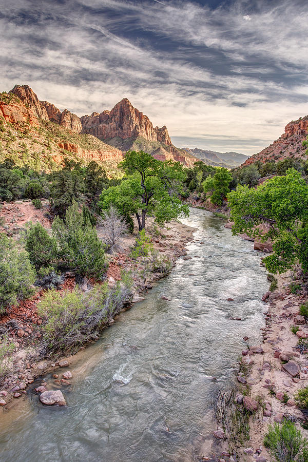 Virgin River leading to the Watchman Zion Photograph by Pierre Leclerc Photography
