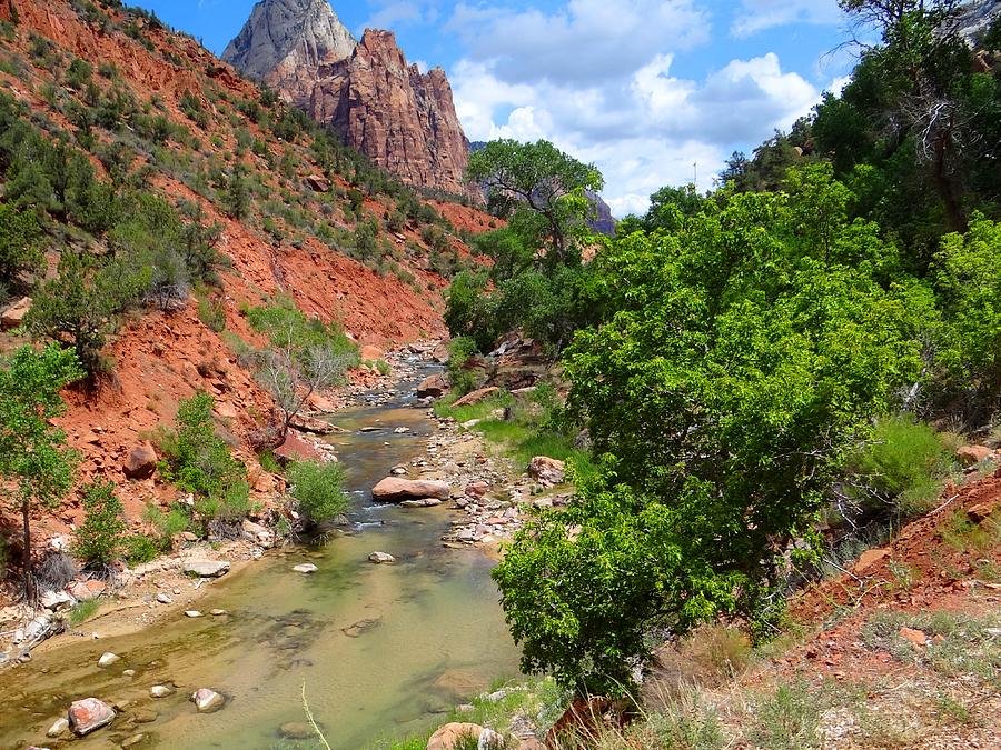 Virgin River Zion National Park Photograph by Keith Stokes