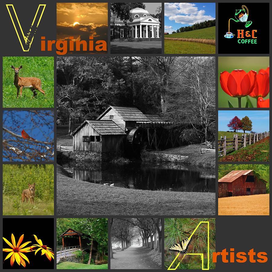 Virginia Artist  Mixed Media by Eric Liller