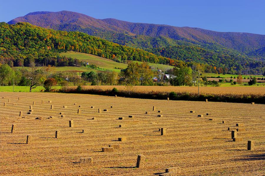 Virginia Country Roads - Autumn in the Shenandoah Valley - No. 1 Photograph by Michael Mazaika