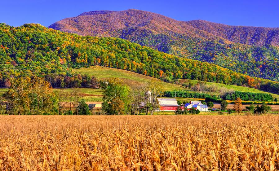 Virginia Country Roads - Why They Are Called the Blue Ridge Mountains - Shenandoah Valley VA Photograph by Michael Mazaika