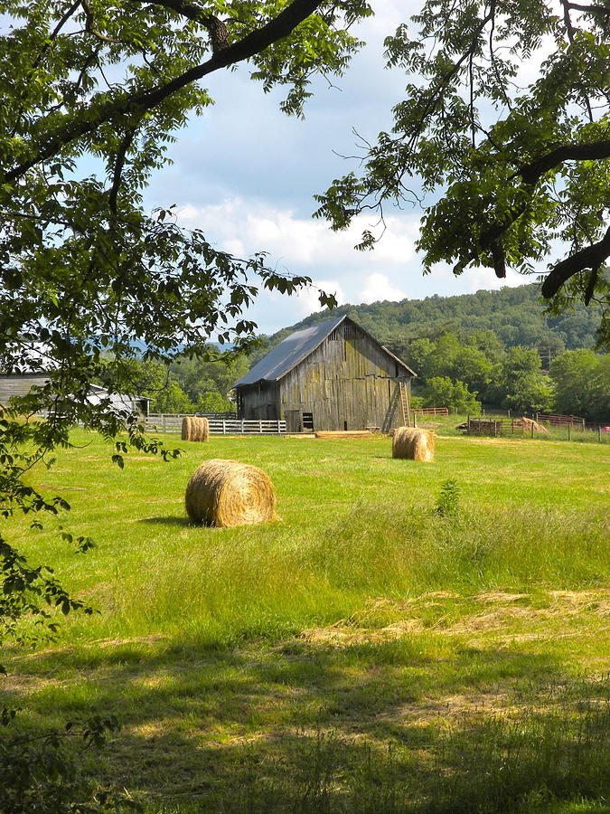 Virginia Farm Photograph by Teresa Tilley