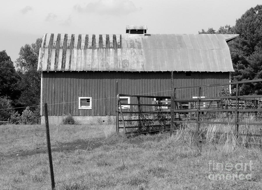 Black And White Photograph - Virginia Farmland by Anne Marie Corbett