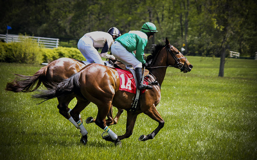 Virginia Gold Cup Steeplechase Race Photograph by Ola Allen