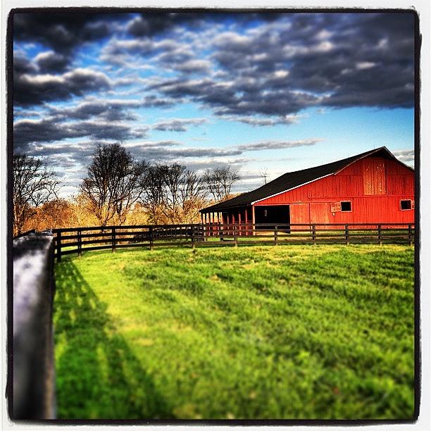 Virginia Horse Farm Photograph by Jason Thibault