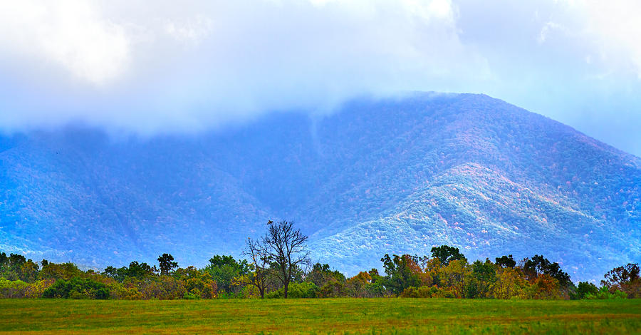 Virginia Mountains Photograph by Mark Andrew Thomas