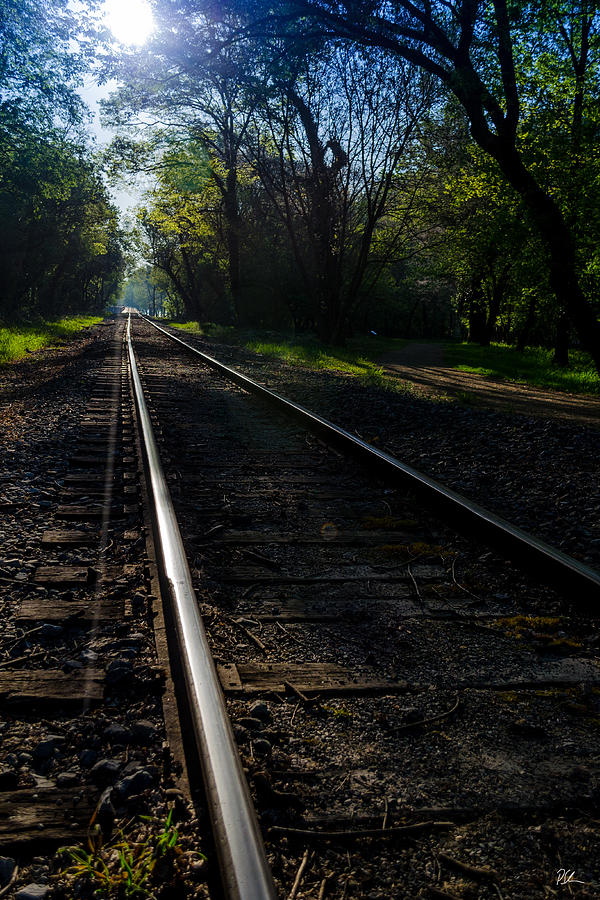 Railroad Track Photograph - Virginius Island Tracks by Pat Scanlon Railroad Track Photograph - Virginius Island Tracks by Pat Scanlon