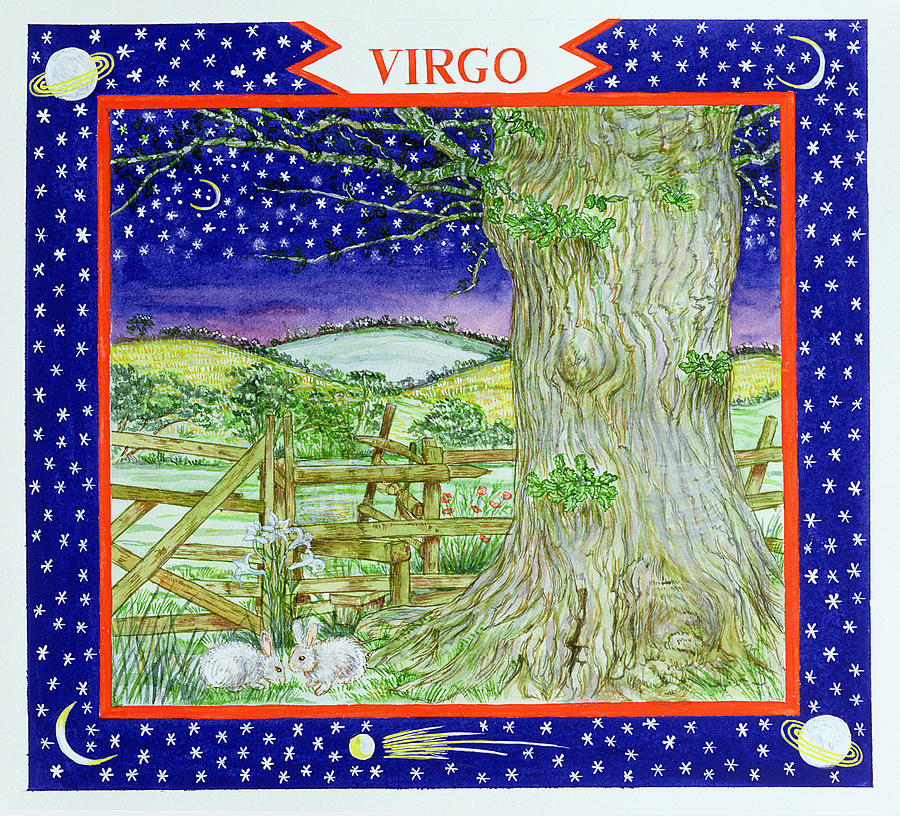 Virgo Wc On Paper Photograph by Catherine Bradbury