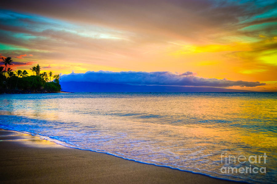 Vibrant Maui Photograph by Kelly Wade