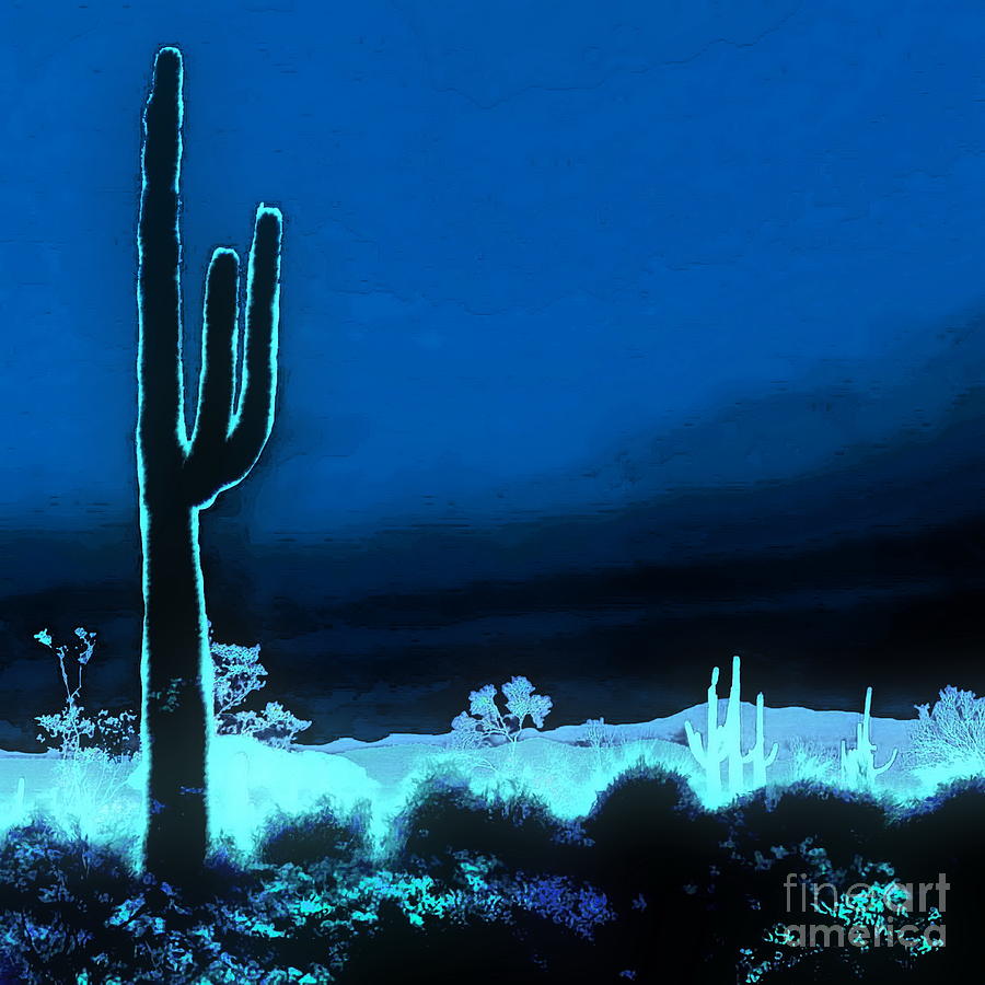Vision of a Desert Night Digital Art by Tim Richards
