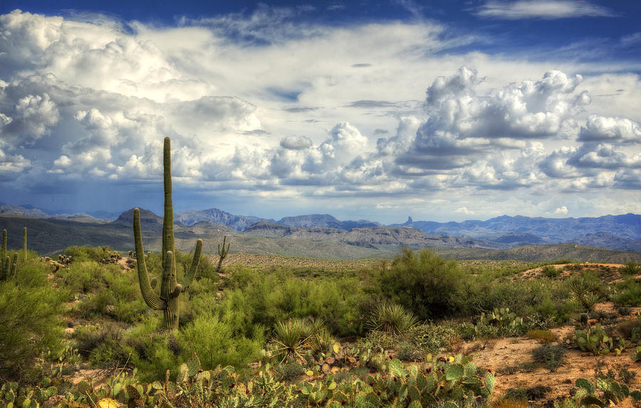 Visions of Arizona  Photograph by Saija Lehtonen