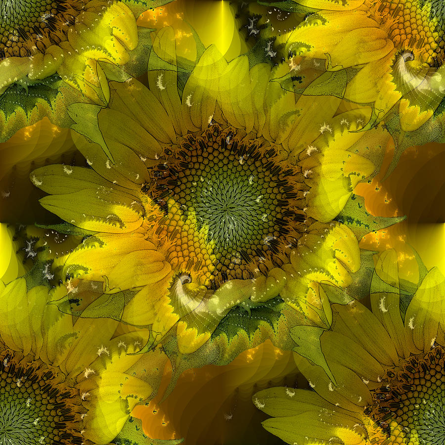 Visions of Sunflowers Digital Art by TnBackroadsPhotos