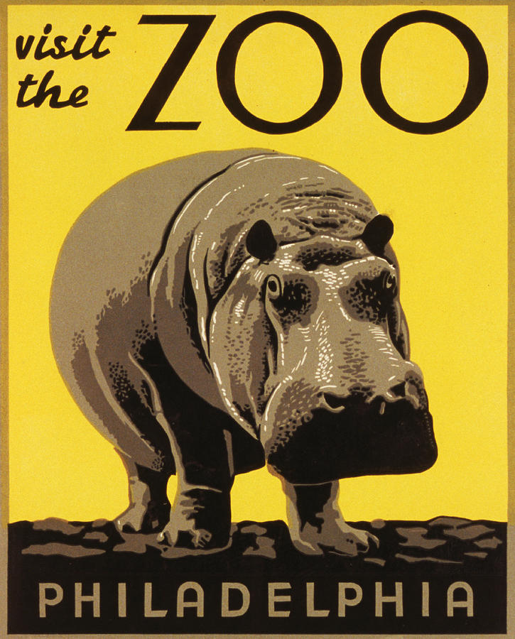 Hippopotamus Photograph - Visit the Philadelphia Zoo by Bill Cannon