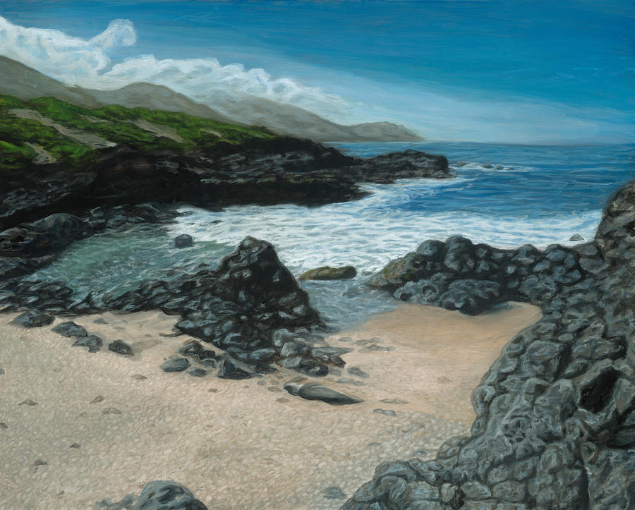 Visitor at Kaena Point by Michael Allen Wolfe Visitor at Kaena Point by Michael Allen Wolfe