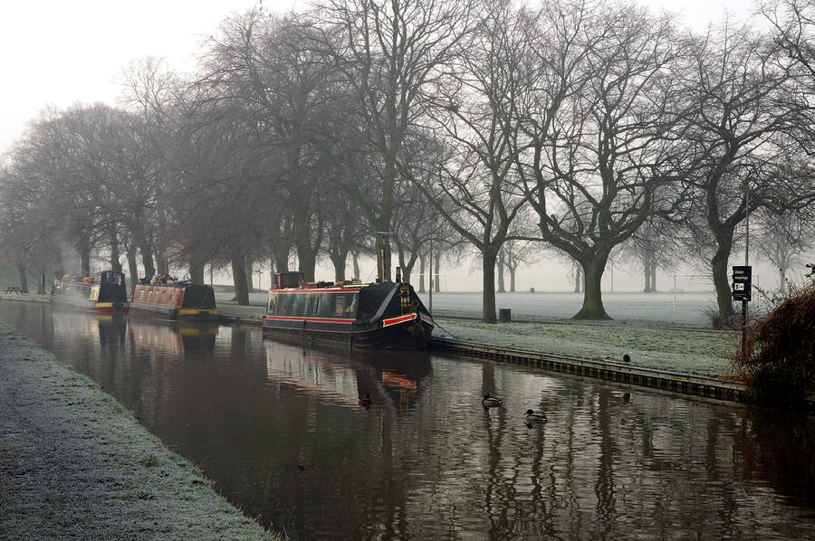 Tree Photograph - Visitor Moorings Beside Shobnal Fields by Rod Johnson