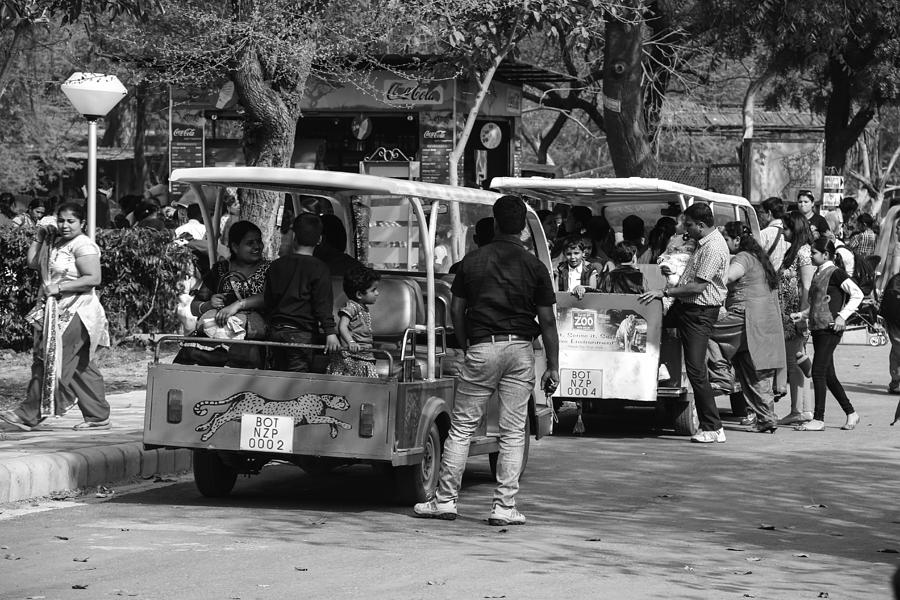 Tree Photograph - Visitors using the battery operated vehicles inside Delhi Zoo by Ashish Agarwal