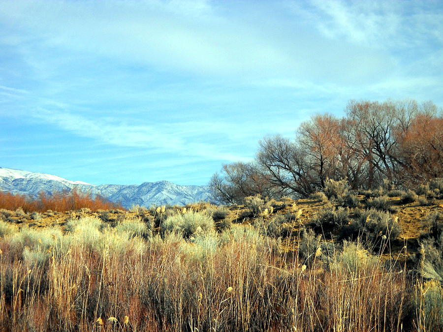 Vista View Photograph by Marilyn Diaz