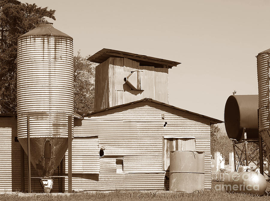 Visual Geometry - Old Texas Farm in Sepia  Photograph by Connie Fox