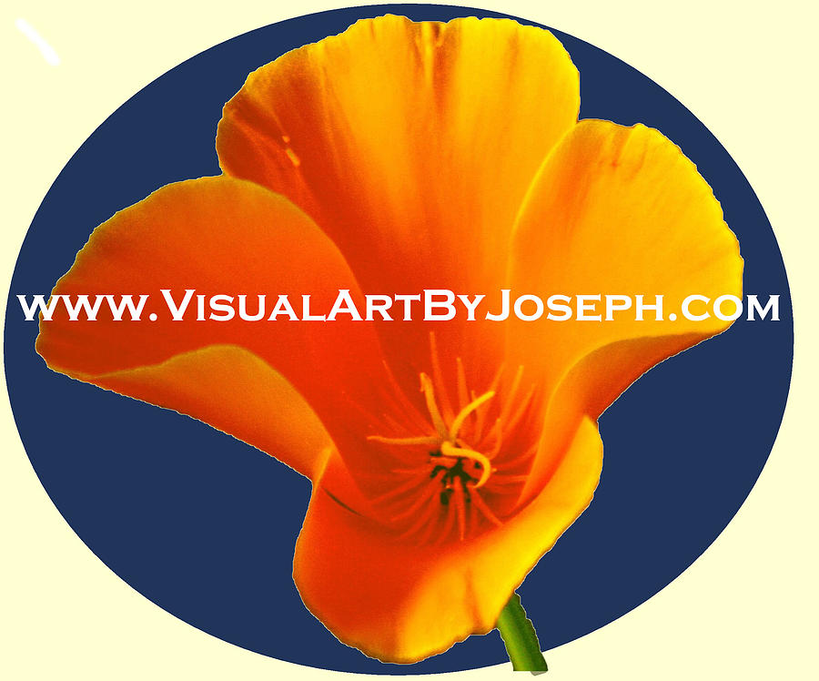VisualArtByJosephLogo Digital Art by Joseph Coulombe