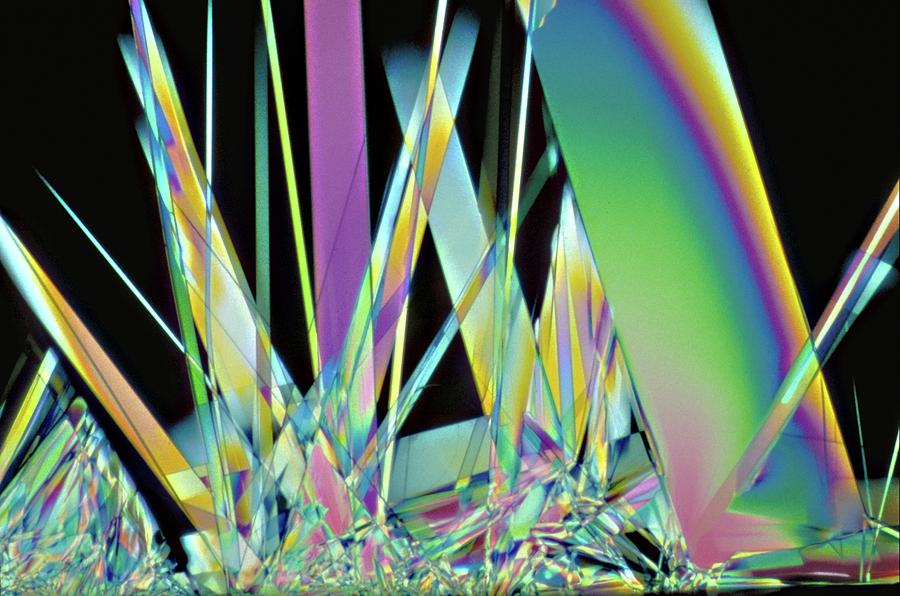Vitamin B1 Crystals Photograph by Dennis Kunkel Microscopy/science Photo Library