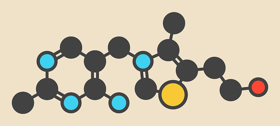 Vitamin B1 Molecule By Molekuul