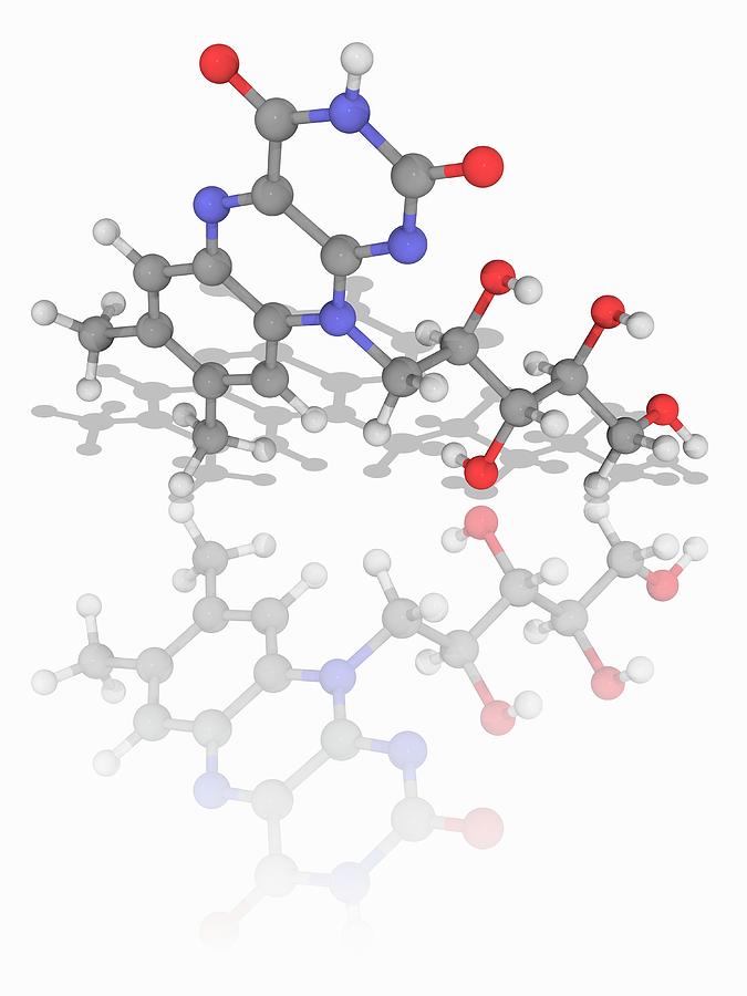 Vitamin B2 (riboflavin) Organic Compound Molecule Photograph by Laguna