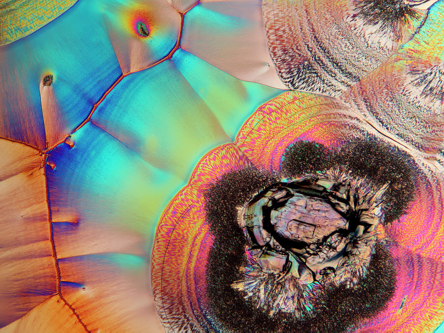 Vitamin C Crystals Photograph by Karl Gaff / Science Photo Library