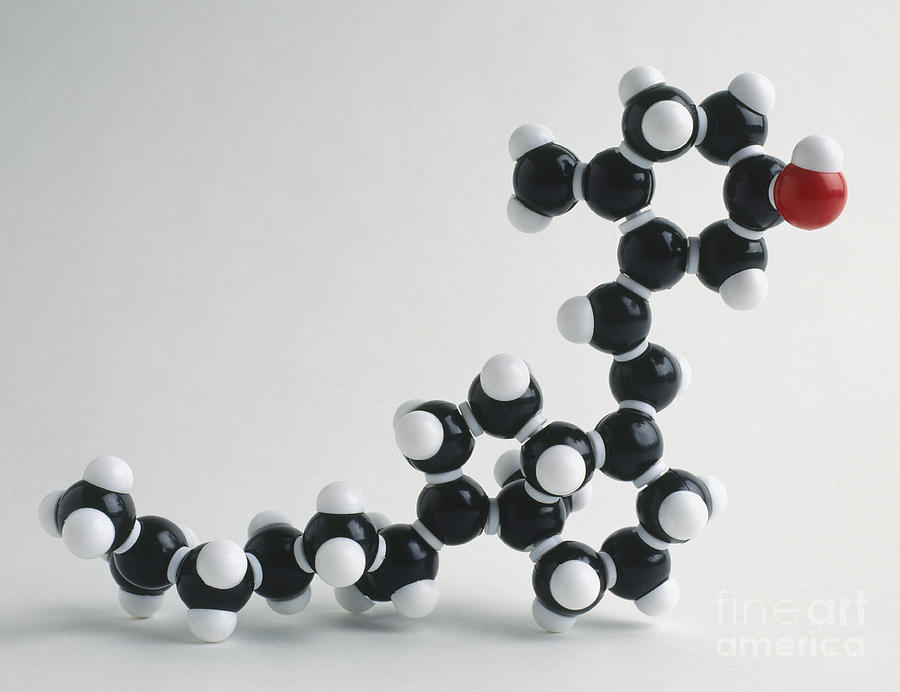 Vitamin D, Molecular Model Photograph by Dorling Kindersley