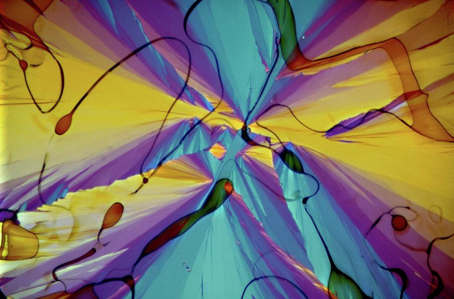 Vitamin E Crystals Photograph by Dennis Kunkel Microscopy/science Photo Library